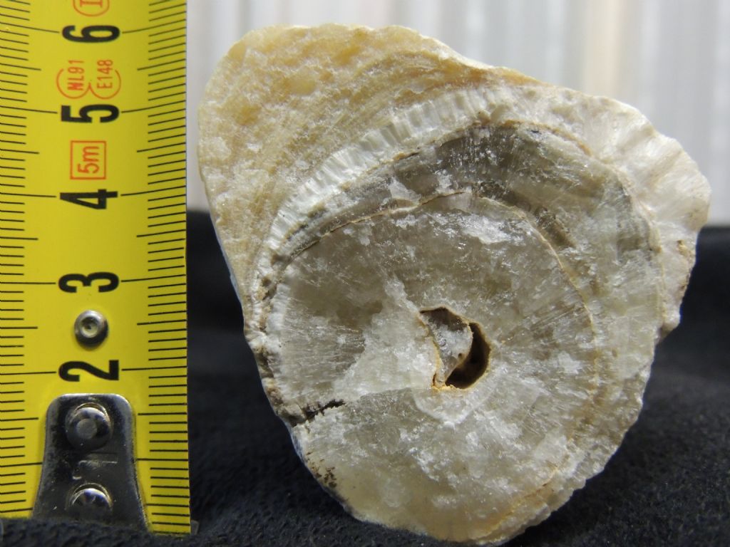 Minerali da riconoscere!